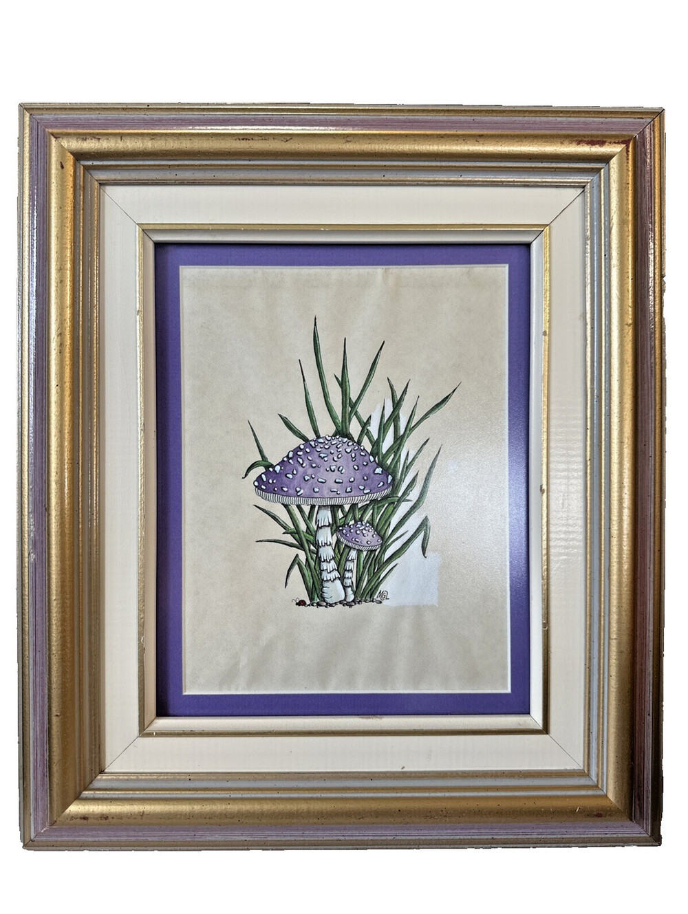 Original Pen and Ink Artwork – Vintage Framed Botanical Drawing - 13x15"